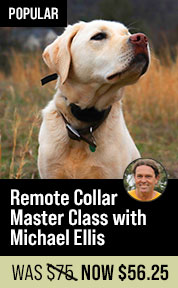 Remote Collar Master Class with Michael Ellis