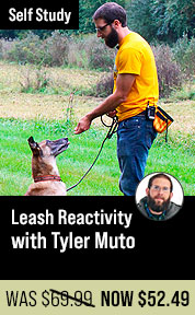 Leash Reactivity with Tyler Muto