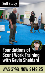Foundations of Scent Work Training