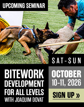Bitework Development for All Levels with Joaquim Dovat in October 2026