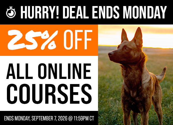 25% Off Online Courses Ends Monday