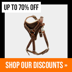 Discounted Items