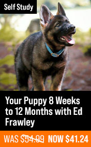 Your Puppy 8 Weeks to 12 Months