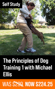 The Principles of Dog Training 1