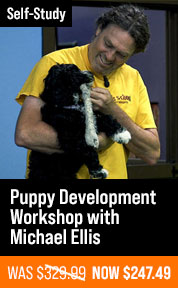 Puppy Development Workshop