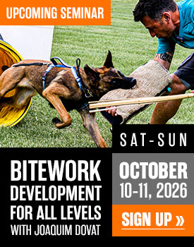 Bitework Development for All Levels with Joaquim Dovat in October 2026