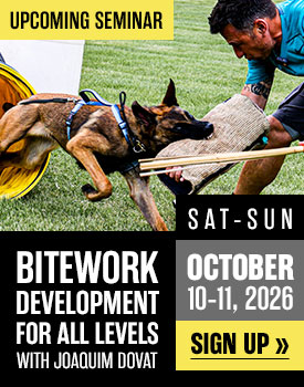 Bitework Development with Joaquim Dovat