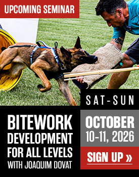 Bitework Development with Joaquim Dovat