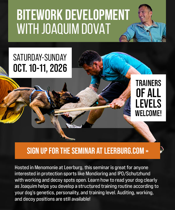 Joaquim Dovat Bitework Development Seminar Coming in October