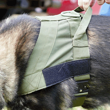The Fenix Patrol Harness