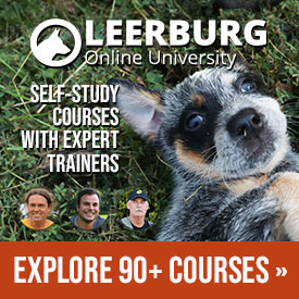 Leerburg 5-Year Warranty