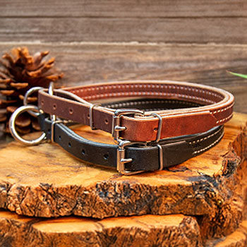 Leather Slip Collar