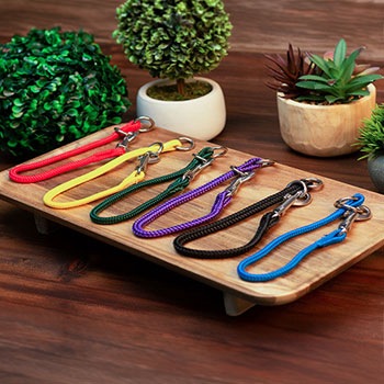 Dominant Dog Collar