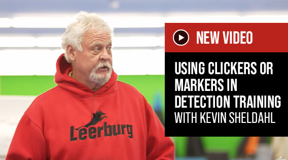 Video: Using Clickers or Markers in Detection Training