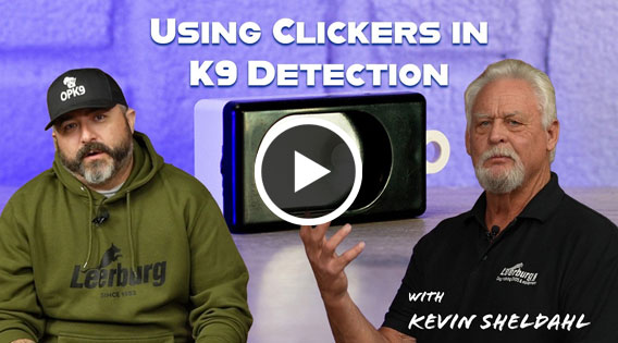 Video: Using Clickers or Markers in Detection Training