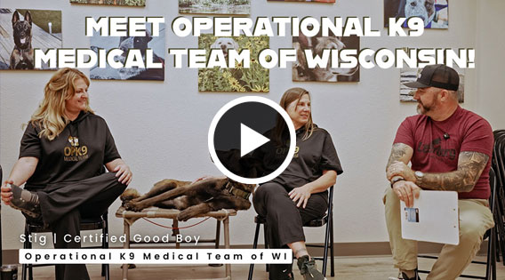 Meet Operational K9 Medical Team of WI