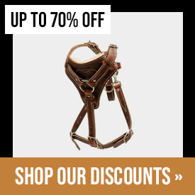 Discounted Items