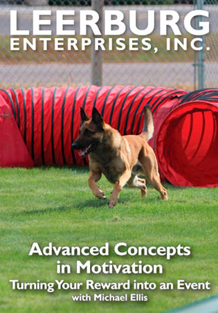Advanced Concepts in Motivation w/ Michael Ellis