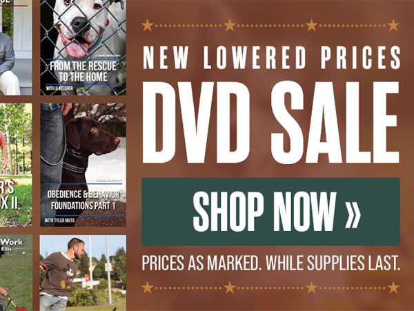 DVD Sales - Prices Slashed