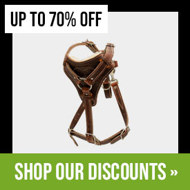 Discounted Items