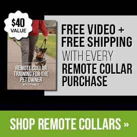 Free Video + Free Shipping with Every Remote Collar Purchase