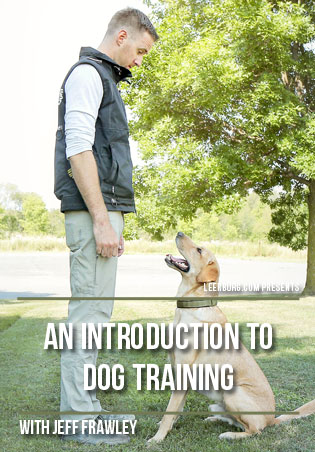 An Introduction to Dog Training with Jeff Frawley