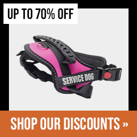 Discounted Items