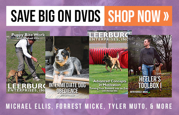 DVD Sales - Prices Slashed