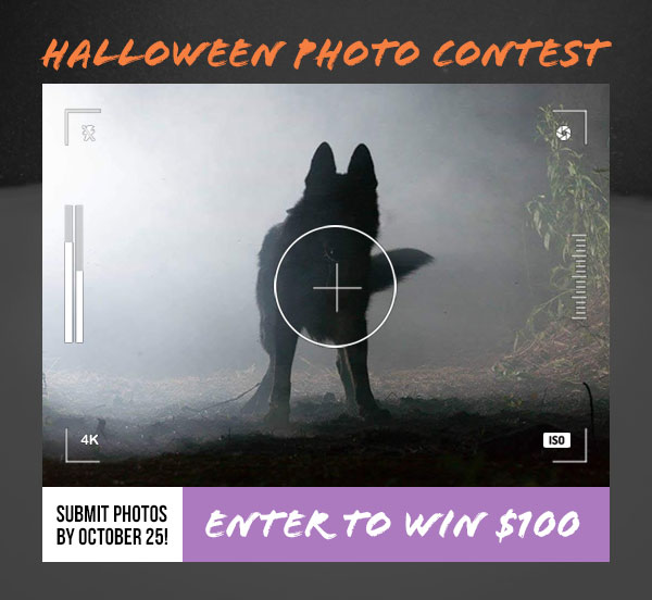 Halloween Photo Contest