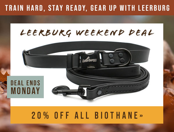 All BioThane is 20% Off Sale
