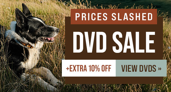 DVD Sales - Prices Slashed