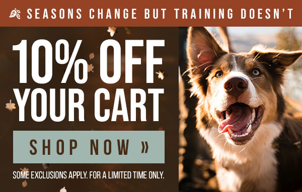 Save 10% on Your Order