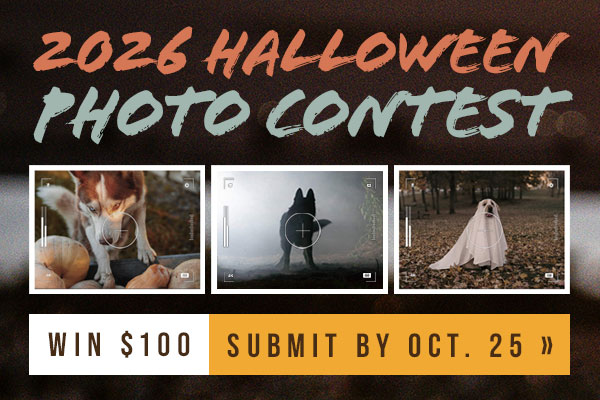 Halloween Photo Contest