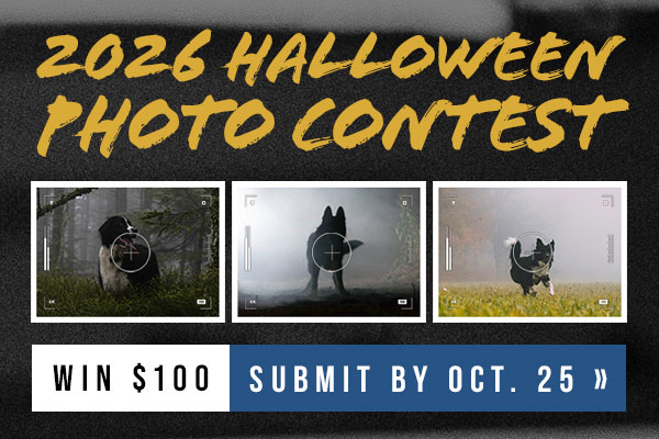 Halloween Photo Contest