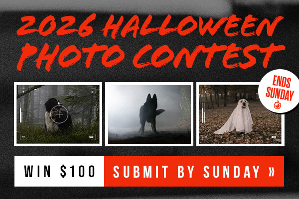 Halloween Photo Contest