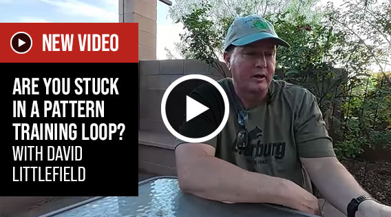 Are you stuck in a pattern training loop? With David Littlefield