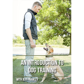 An Introduction to Dog Training with Jeff Frawley
