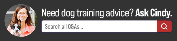 Ask your dog training here