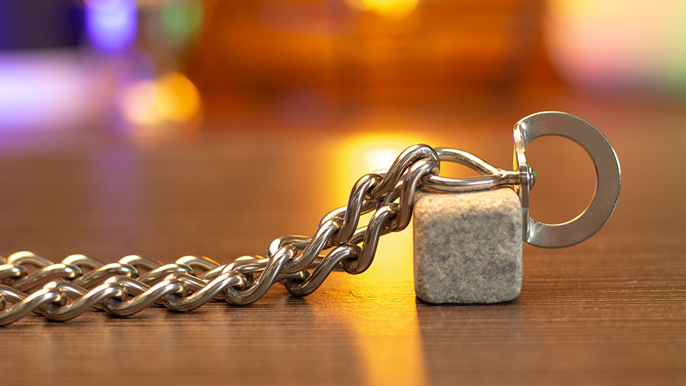 Leerburg Leerburg's Affordable Stainless Steel Prong Collar