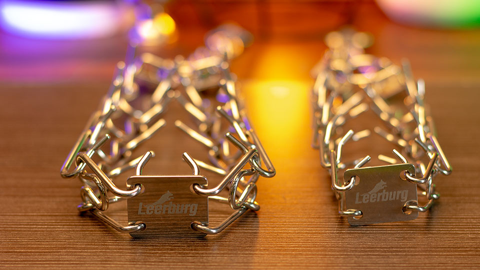 Leerburg Leerburg's Affordable Stainless Steel Prong Collar