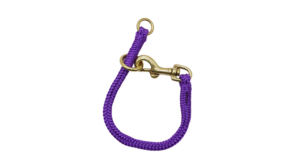 Dominant Dog Collar - 6 Inch - Purple