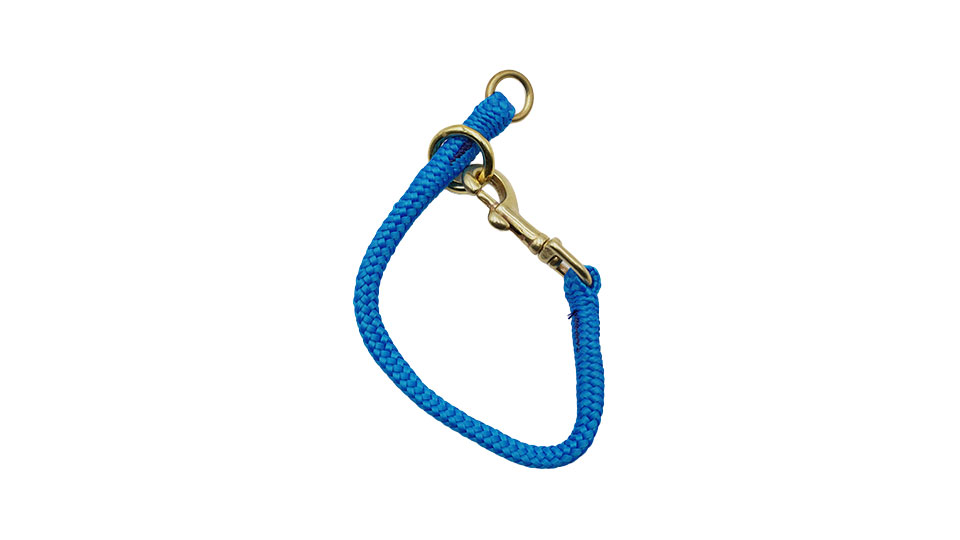 Dominant Dog Collar - 6 Inch - Pacific Blue