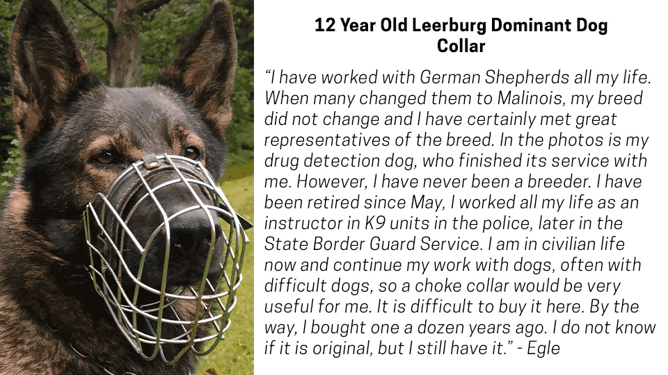 12 year old Leerburg Dominant Dog Collar
