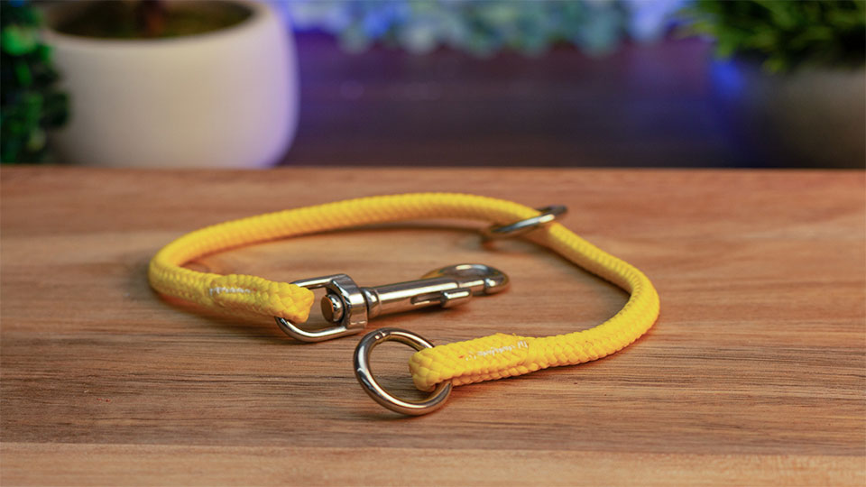 Make Your Own: Leather Dog Collar - Beginner Tutorial 