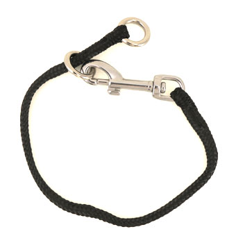 leerburg prong collar leash