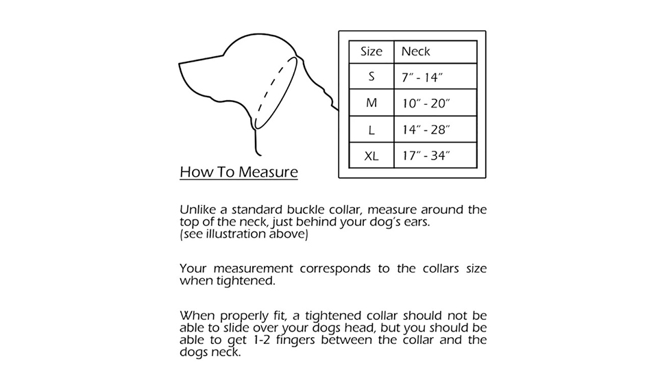Measure Dog for Collar
