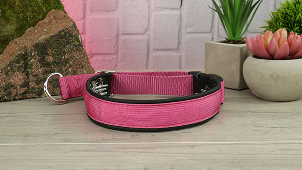 Leerburg Keeper Collars Hidden Prong with Snap