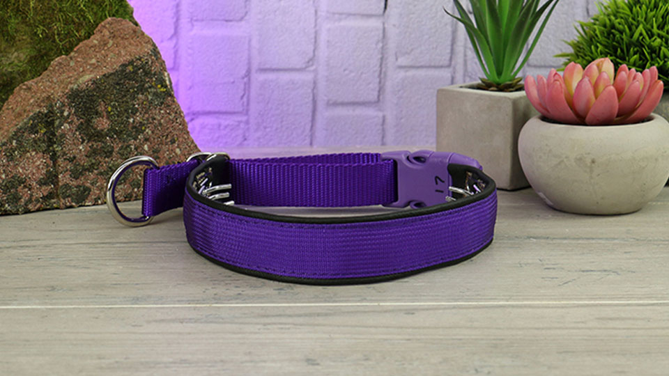 Herm sprenger keeper collar Clearance