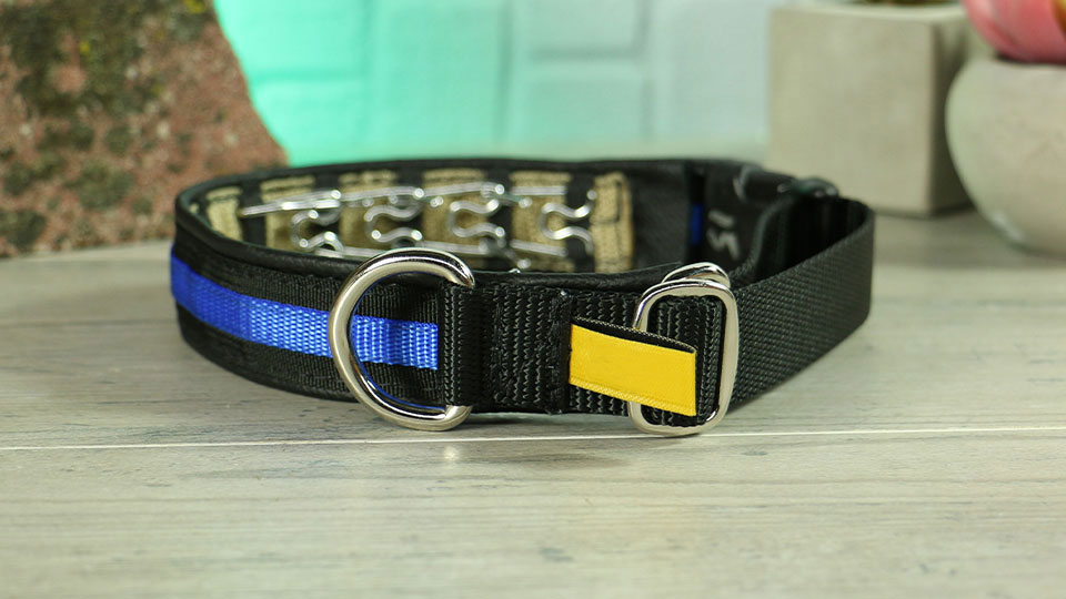 Leerburg Keeper Collars Thin Line Hidden Prong