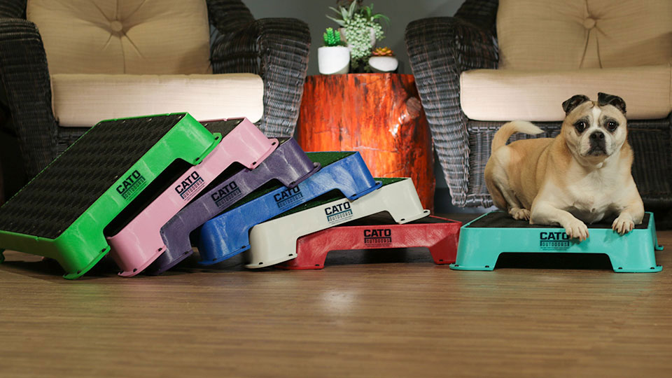 Teach your dog to STAY using Cato Boards! 